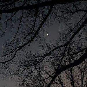 Meet your Posher, Lily